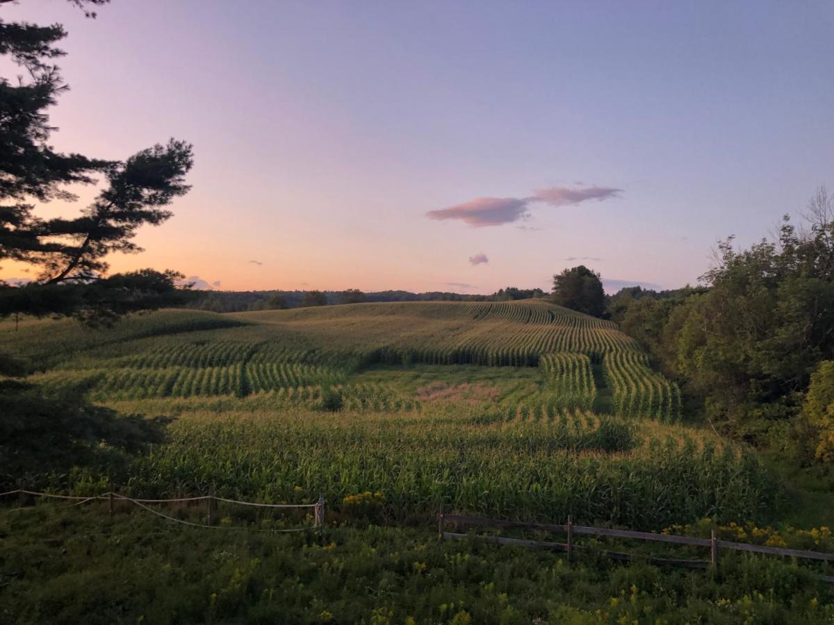 East MontpelierCountry Farmhouse公寓 外观 照片